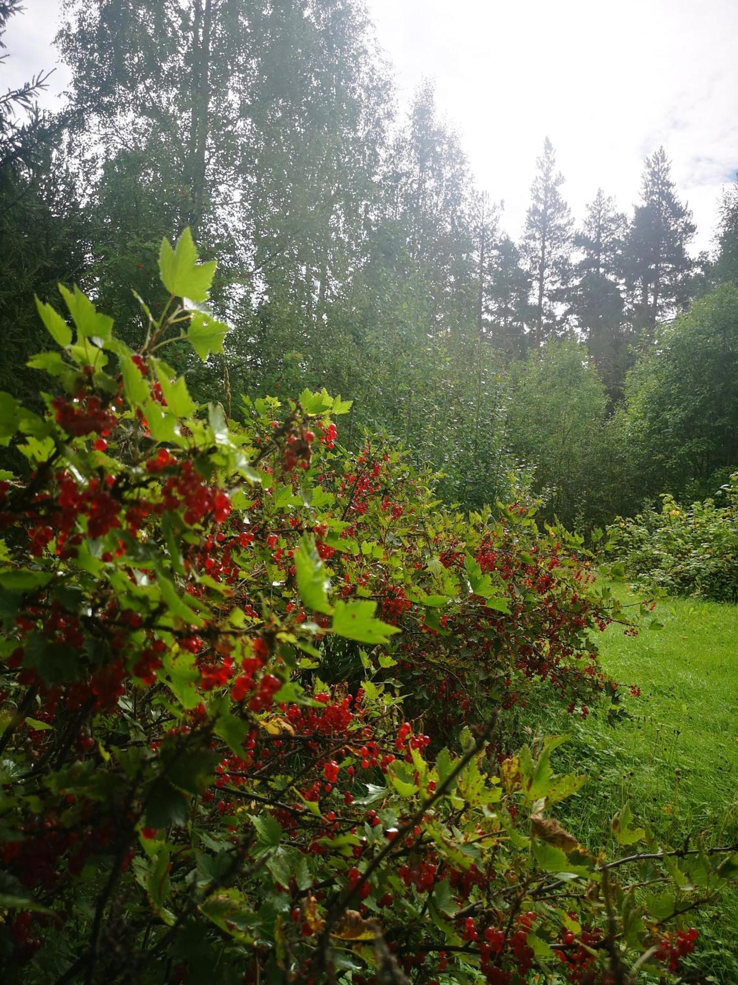 Villa Ka Stor Elvdal Koppang Exterior foto